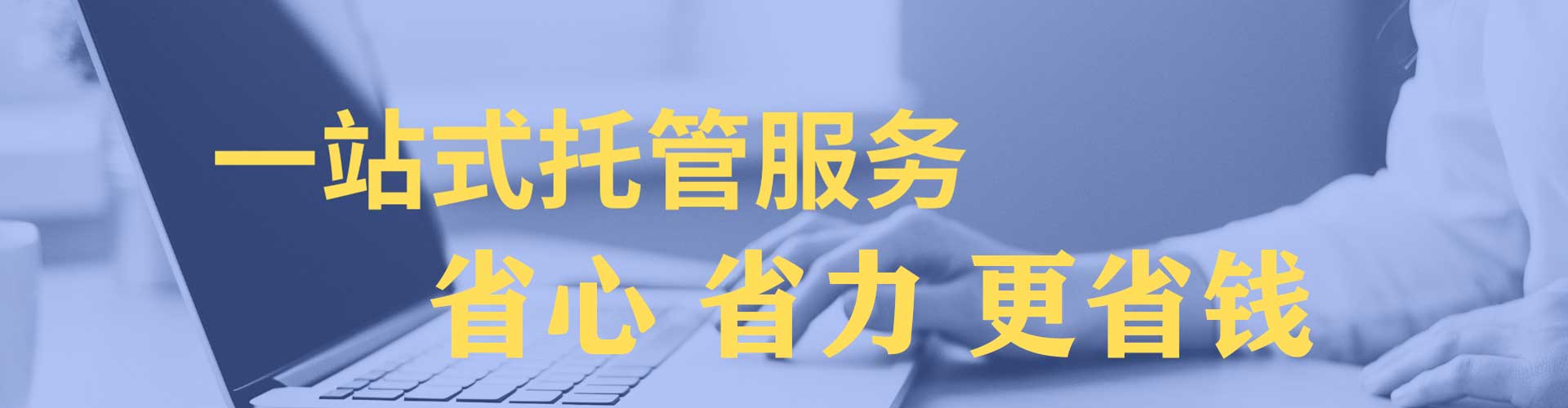 杨梅sem代运营